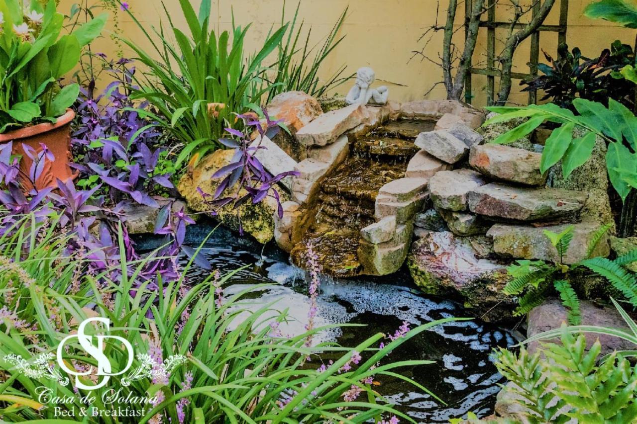 سانت أوغيستين Casa De Solana Bed And Breakfast المظهر الخارجي الصورة